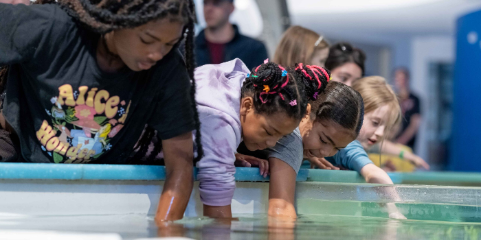 Touch Tank Feeding