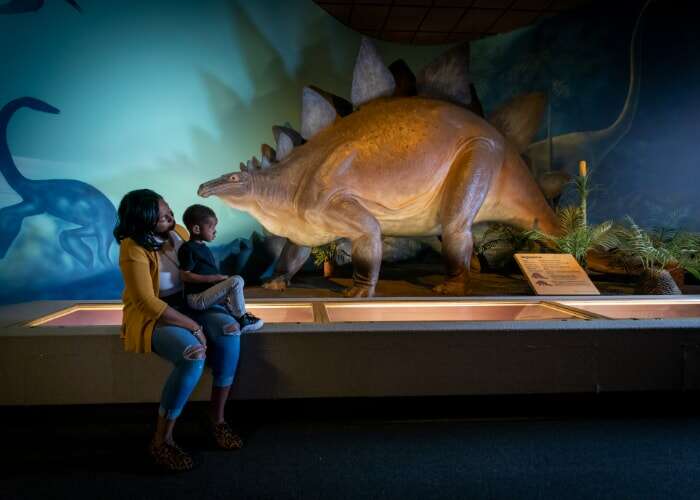 Milwaukee Public Museum – Free First Thursdays