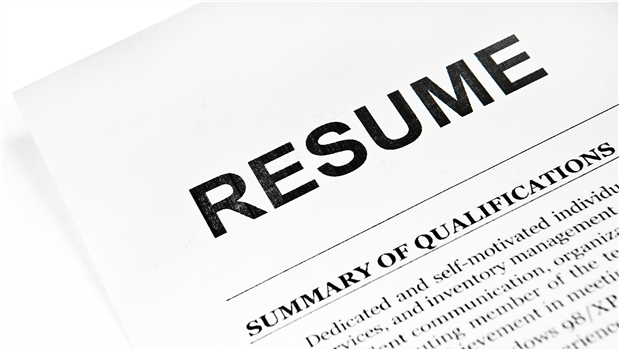 Job Search and Resume Assistance