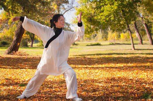 J Sports Fitness: Tai Chi Beginners Spring Session