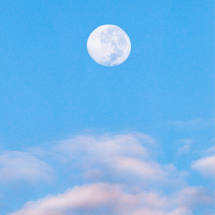 Summer Solstice Gathering & June Moon Lesson at Raleigh City Farm