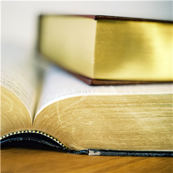 Writing the Novel
