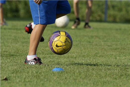 (Men’s Soccer) Wake Technical Community College at Shaw University