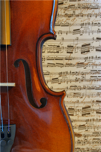 Auditions for the Hopkins Symphony Orchestra ’24-’25 open August 1!