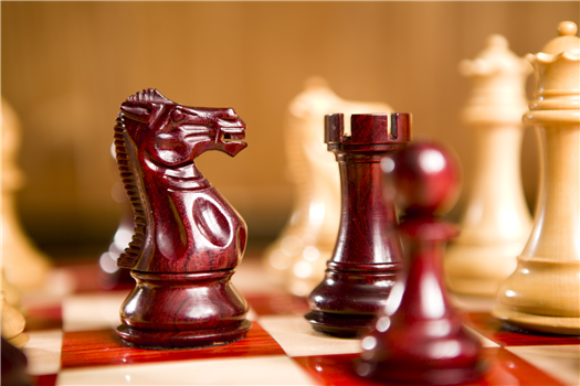 2025 NC K-12 Chess Championships