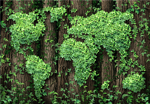 Commission on Sustainability
