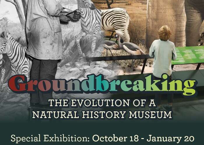 Groundbreaking: The Evolution of a Natural History Museum