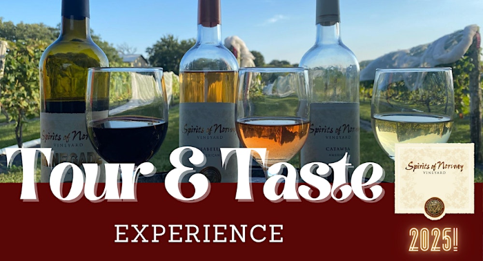 Spirits Of Norway Vineyard Tour & Taste Experience 2025