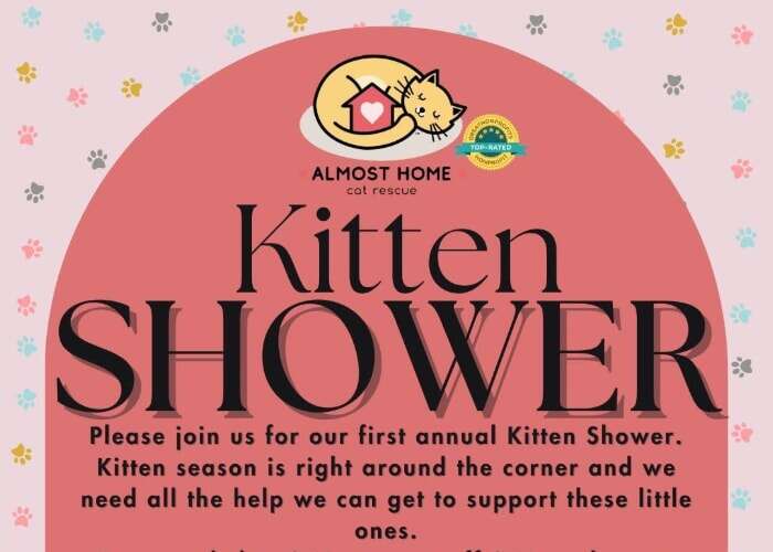 Kitten Shower! – FURrst FURRday Open House
