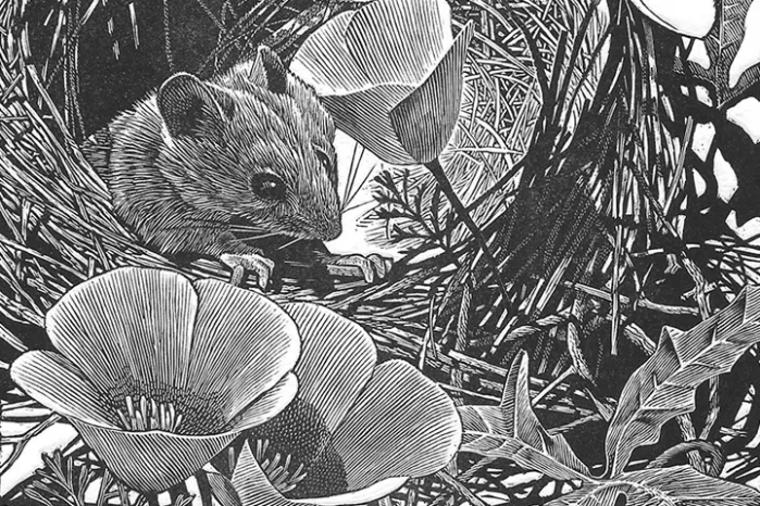 Wood Engravers’ Network’s 5th Triennial Exhibition