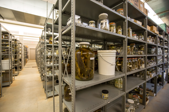 Herpetology Research Day