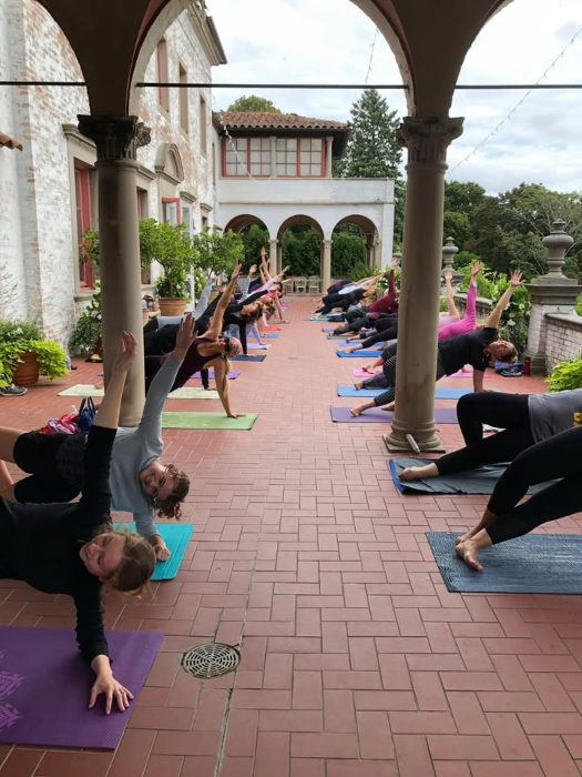 Yoga on the Terrace