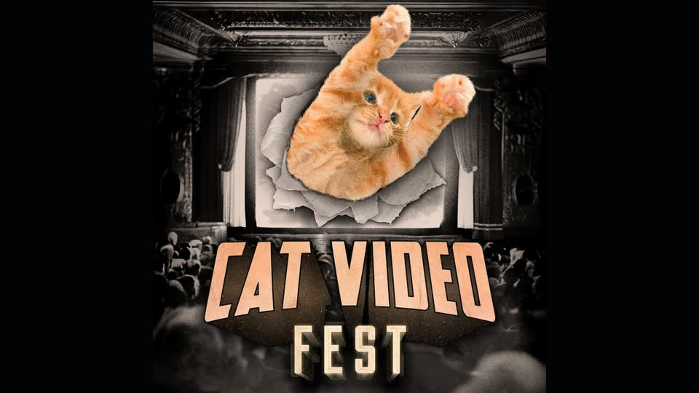 CatVideoFest 2025