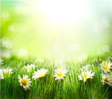 Church Creek, Maryland: Wednesday, February 25, 2026