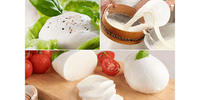 Homemade Mozzarella – Cooking Class in Baltimore | Classpop!™