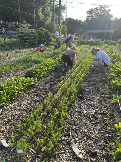 March Volunteer Workday