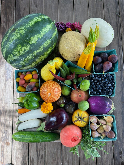 Pay-What-You-Can Farmstand