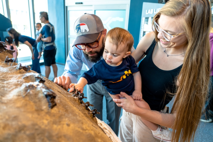 Dueling Dinosaurs Sensory Friendly Mornings