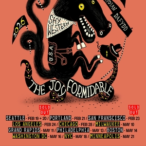 The Joy Formidable