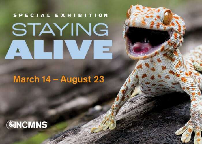 Staying Alive Special Exhibition
