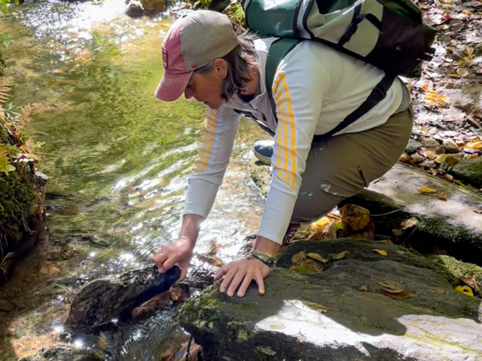 Non-molluscan Invertebrate Research Day
