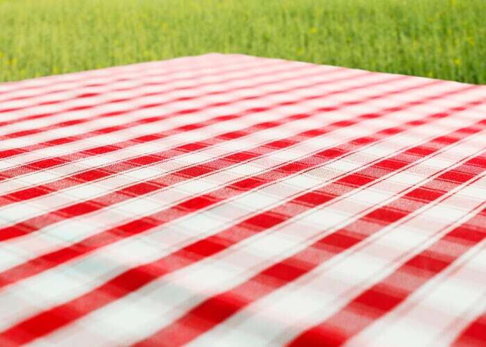 The Big Picnic at Riverwalk Park