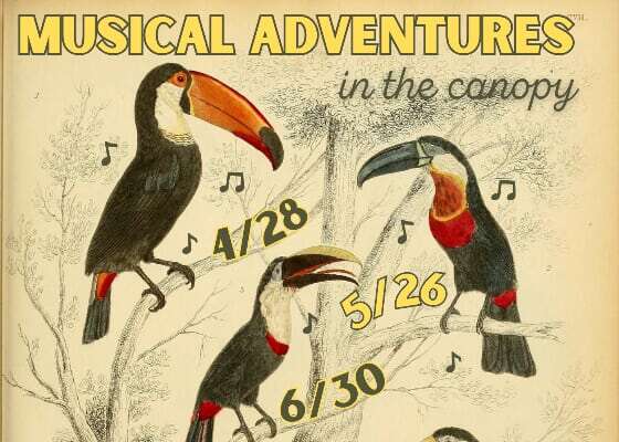 Musical Adventures in the Canopy
