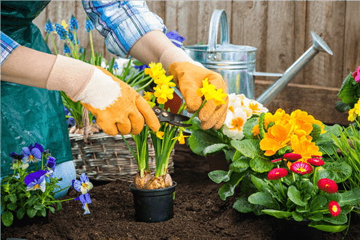 Garden Opening Day