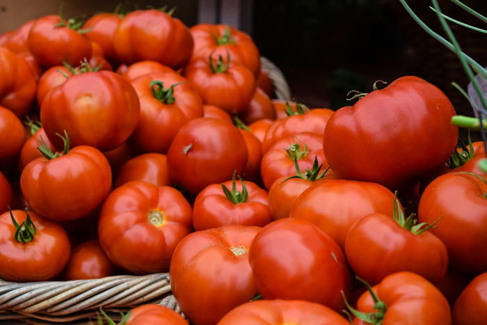 All About Tomatoes Workshop