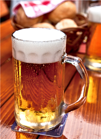 10th Annual Wisconsin IPA Fest