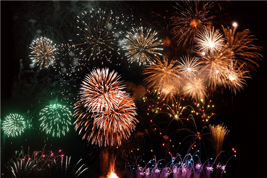 Members Fireworks 2026