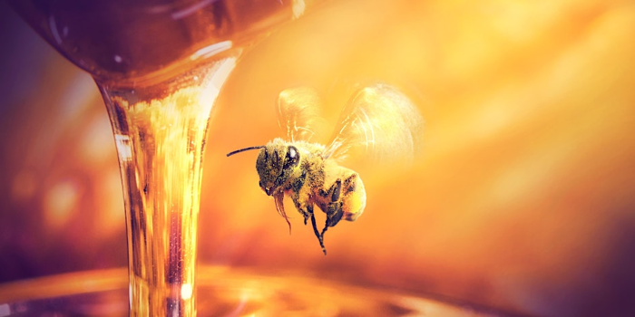 Bourbon & Bees Dinner