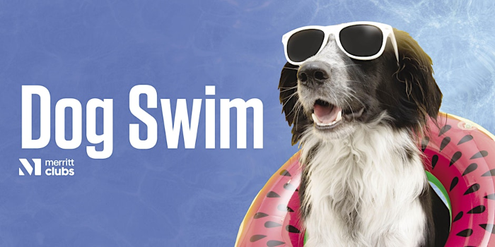 Dog Swim (Fort Avenue)