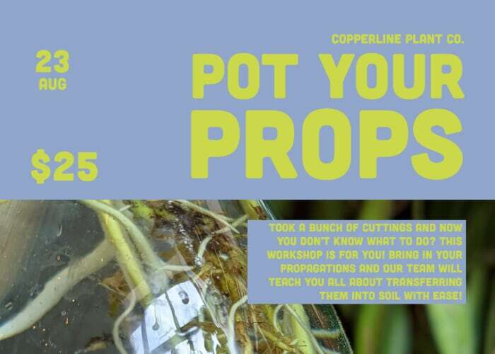 Pot your Props