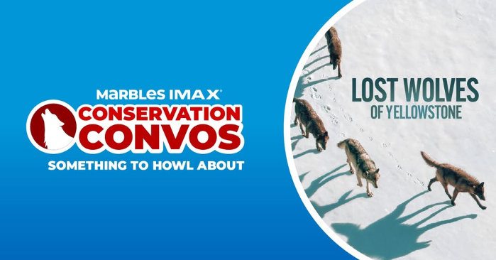 Conservation Convos: Something to Howl About
