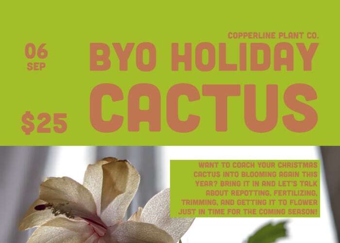 BYO Holiday Cactus