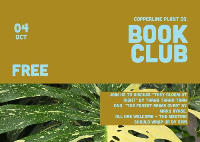 Book Club Meeting