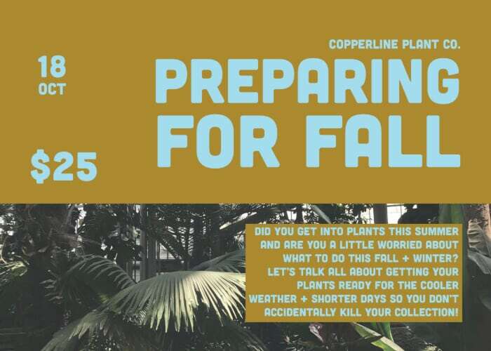 Preparing for Fall