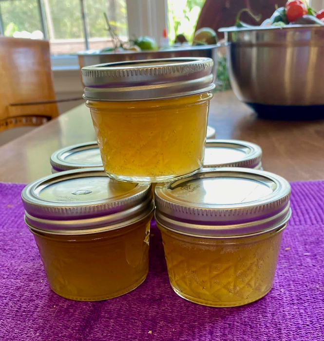 Food Preservation Workshop