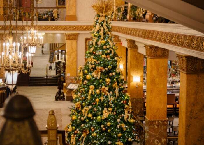 Annual Pfister Tree Lighting Ceremony