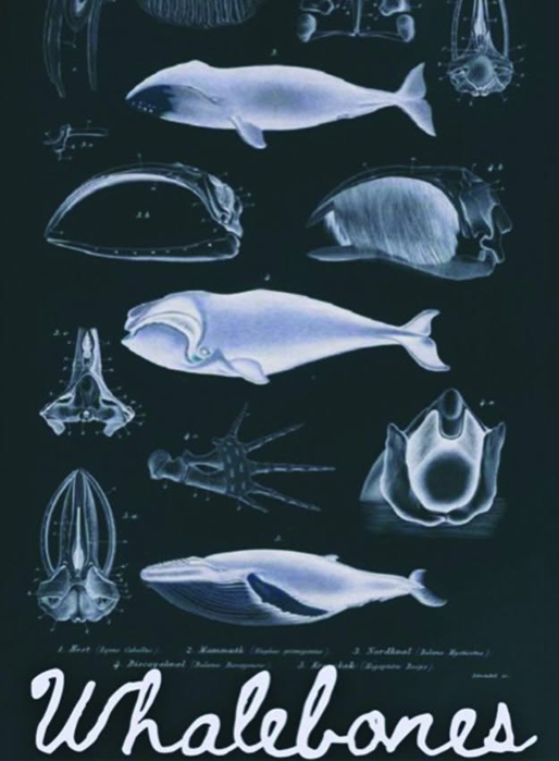 The Marvelous Magic Lantern